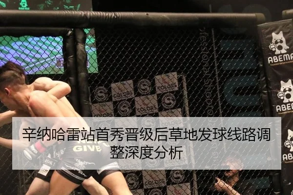 辛纳哈雷站首秀晋级后草地发球线路调整深度分析